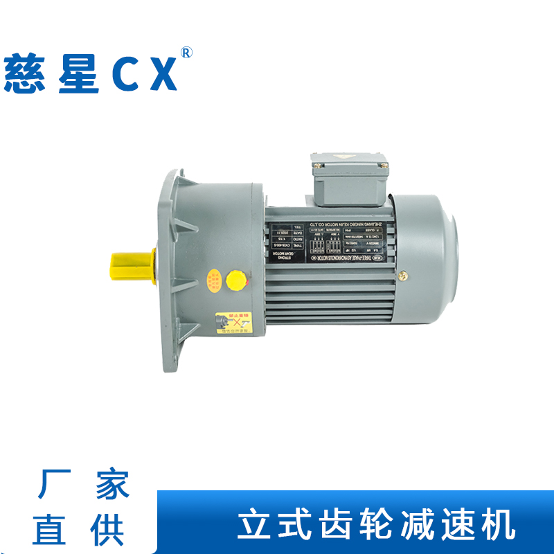 齒輪減速電機(jī)